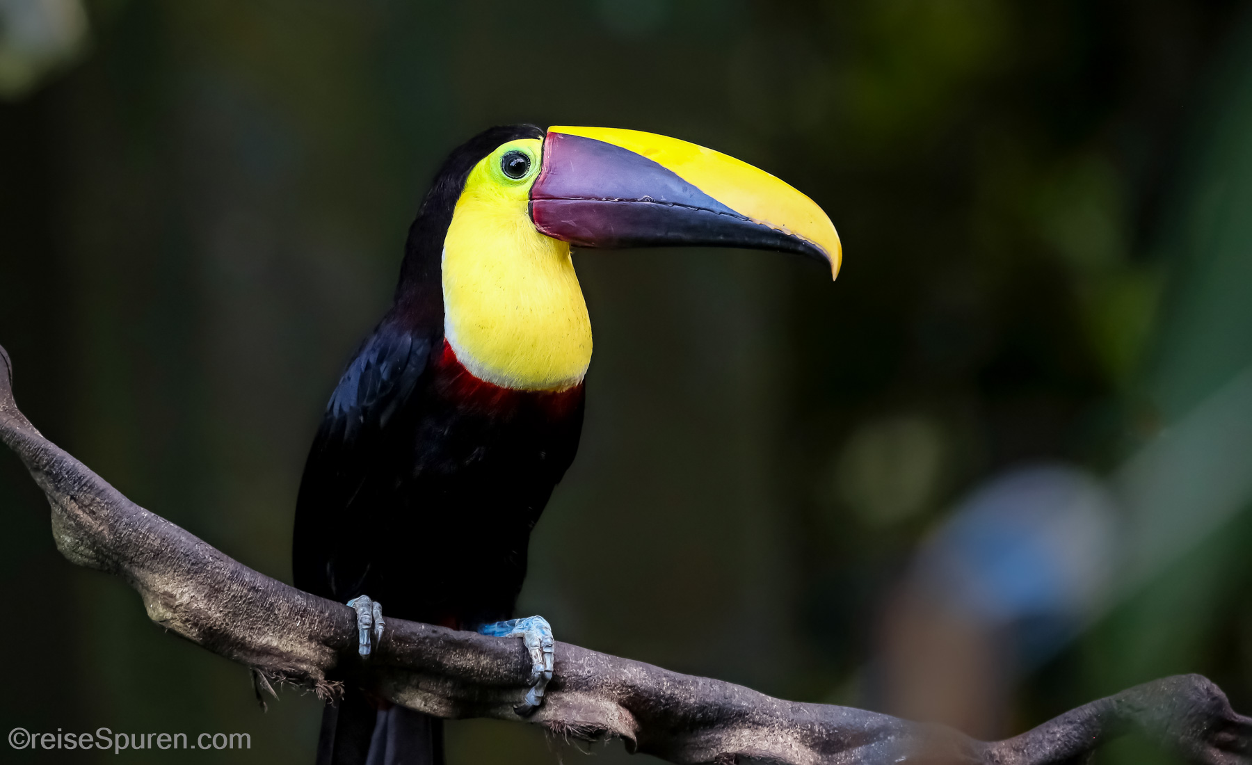 Costa Rica
