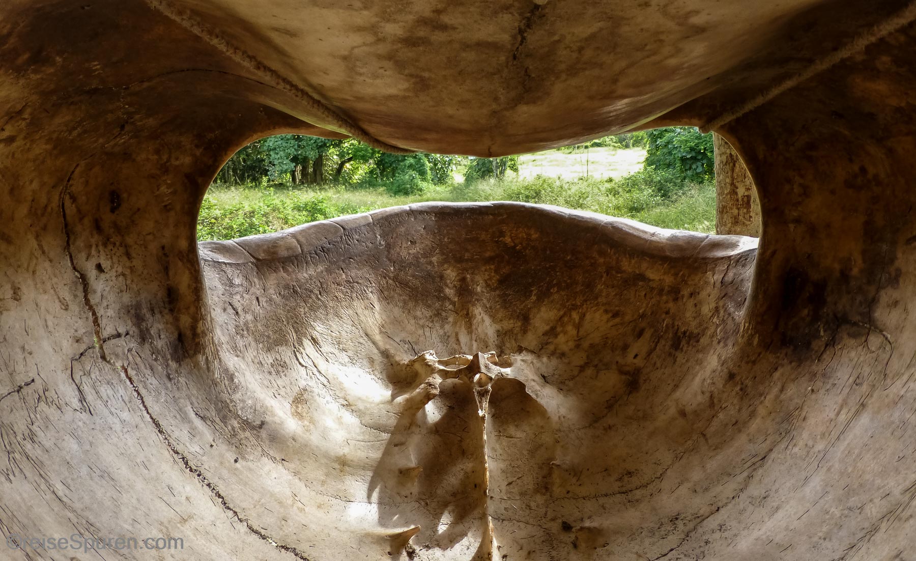 Riesenschildkröten Haus