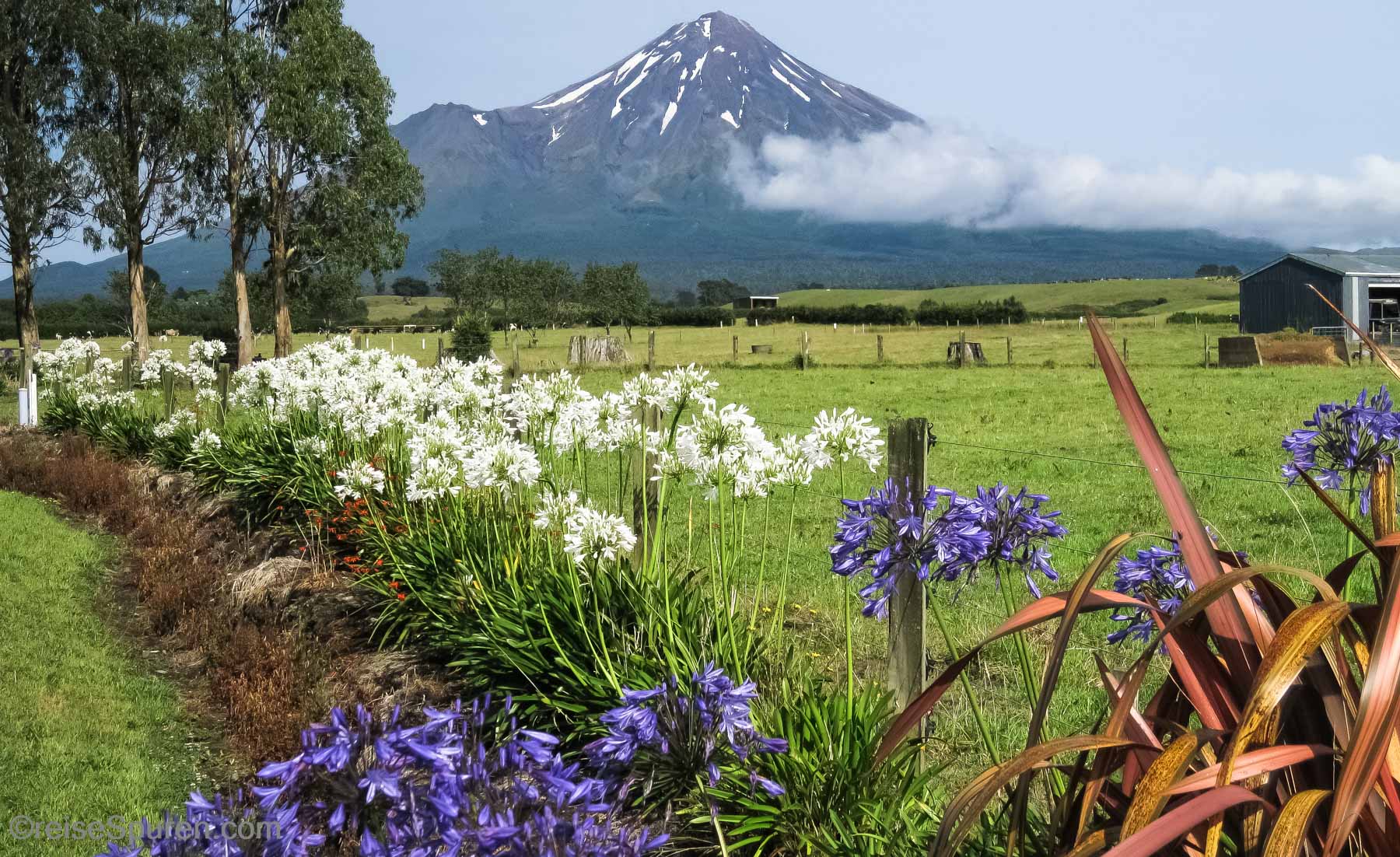 Mount Egmont