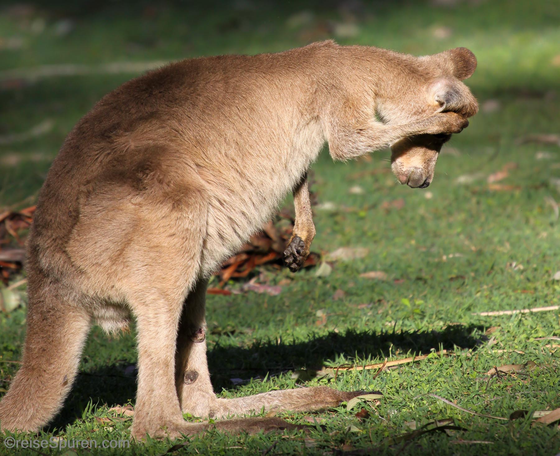 Nein ... bitte kein Foto mehr!