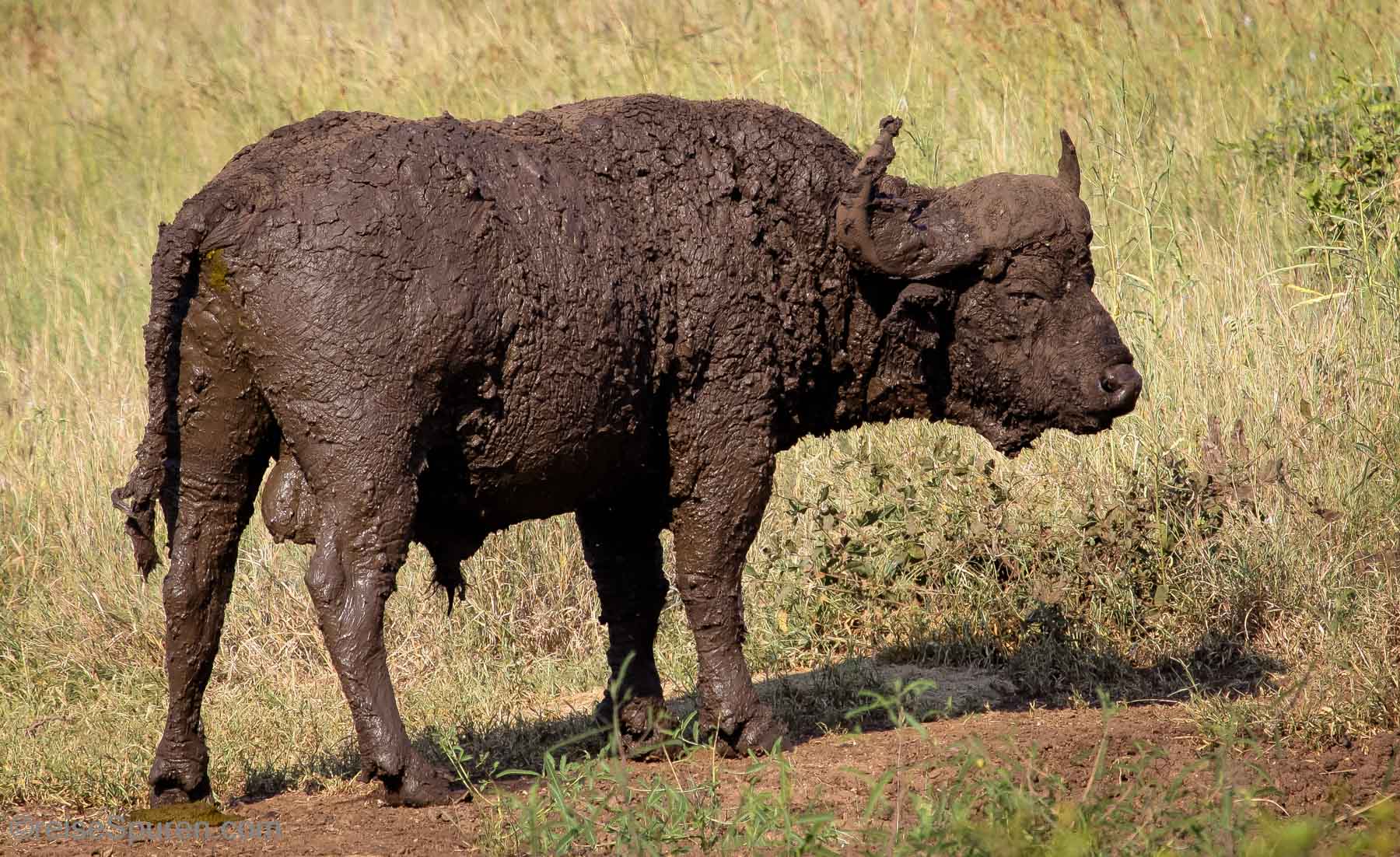 Nach einem Wellness-Schlammbad